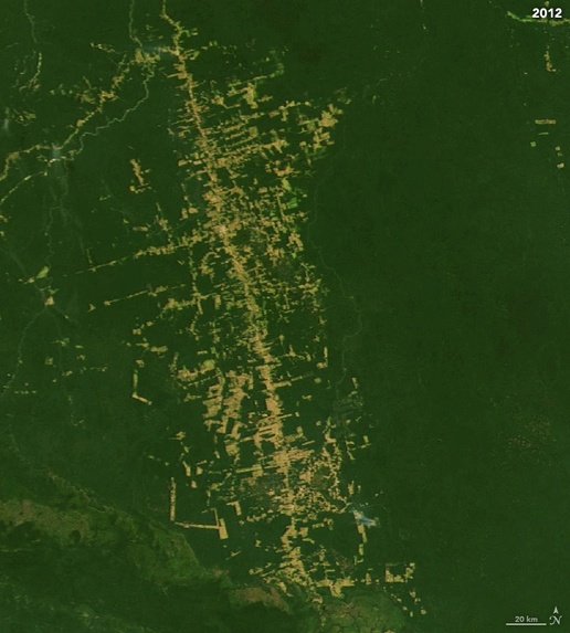 Climate Crisis – screenshot 4