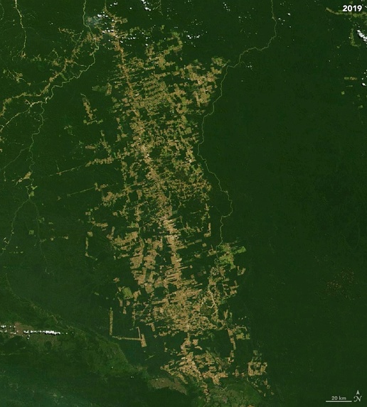 Climate Crisis – screenshot 6