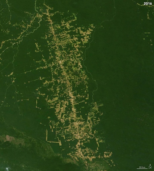 Climate Crisis – screenshot 5