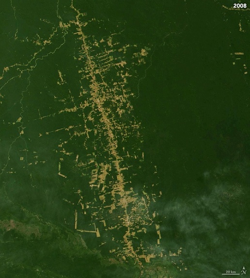 Climate Crisis – screenshot 3