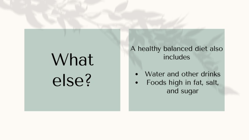 DIET FIT – screenshot 4
