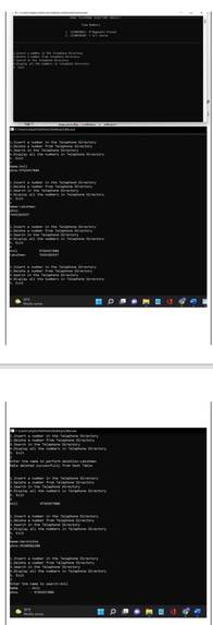 MINI TELEPHONE DIRECTORY – screenshot 1