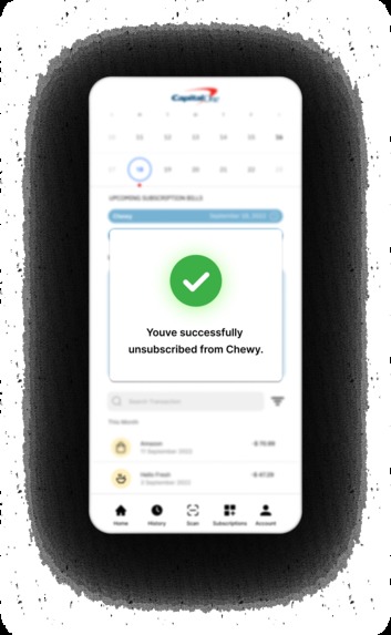 Subscription Saver – screenshot 5