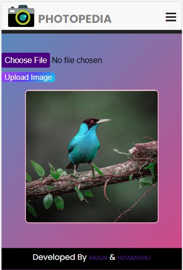 Photopedia – screenshot 2