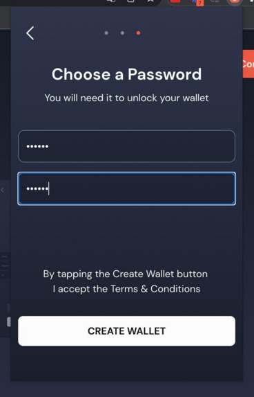 Salmon Wallet – screenshot 4