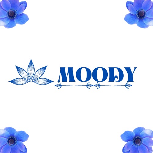 Moody Website – screenshot 1