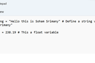 NON-MAINSTREAM LANGUAGE