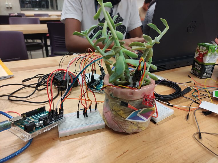 Plant Pals – screenshot 1