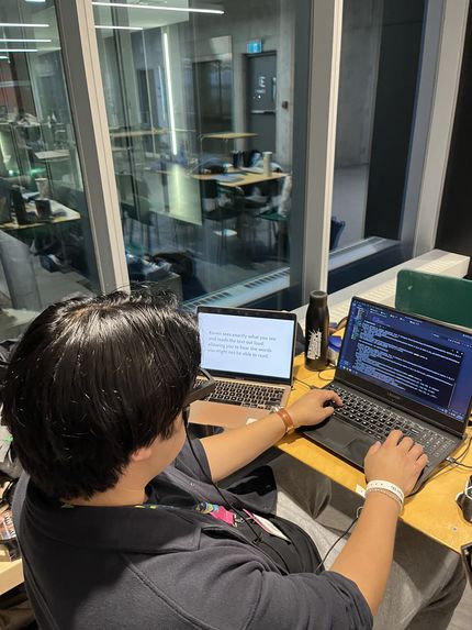 Raven – screenshot 2