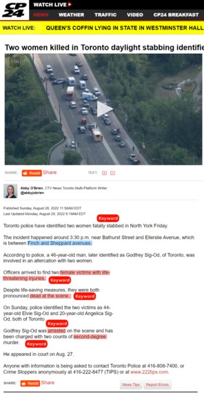 Red Flags – screenshot 3