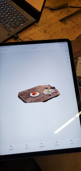 RepliCam – screenshot 8