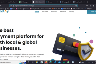 BriskPay