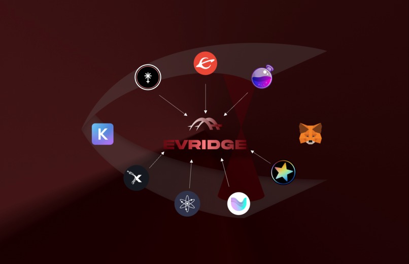 EVRIDGE – screenshot 1