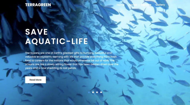 TerraGreen – screenshot 13