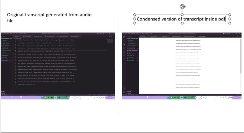 Audio Transcript Condensor – screenshot 1