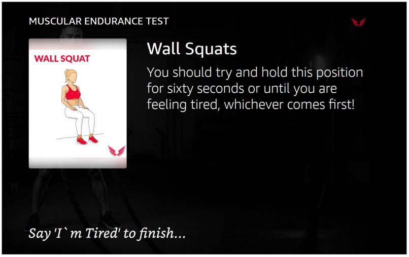 Above and Beyond Fitness and Wellbeing Training Skill – screenshot 4