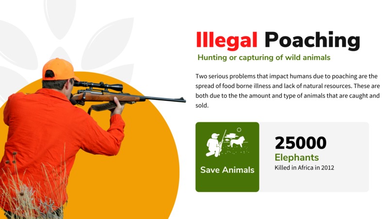 Phaunus – screenshot 2