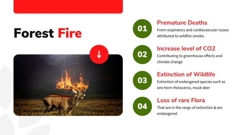 Phaunus – screenshot 3