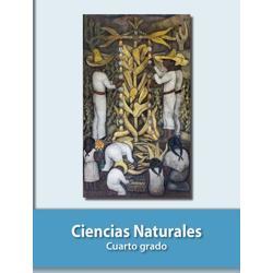 Plataforma para educacion basica – screenshot 8