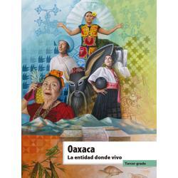 Plataforma para educacion basica – screenshot 37