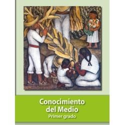 Plataforma para educacion basica – screenshot 39