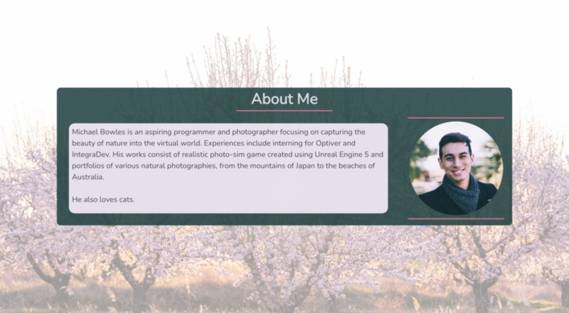 "Arts Students" Portfolio – screenshot 2