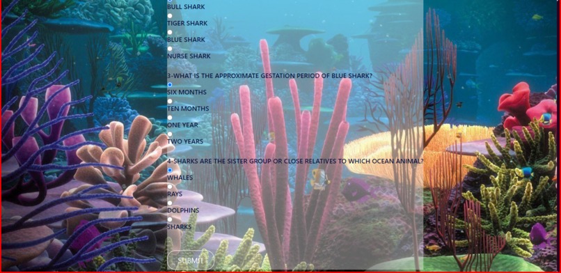 Sharkira – screenshot 3