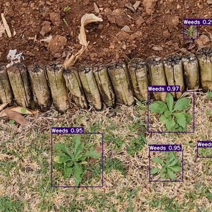 Eliminating weeds to increase crop yields – screenshot 1