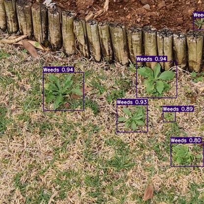 Eliminating weeds to increase crop yields – screenshot 2