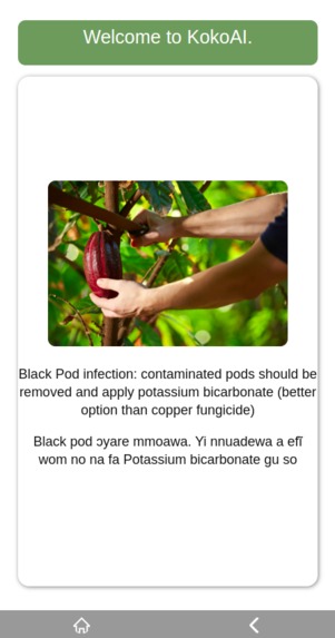 KokoAi – screenshot 5