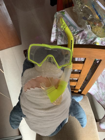 BROHAJ – screenshot 4