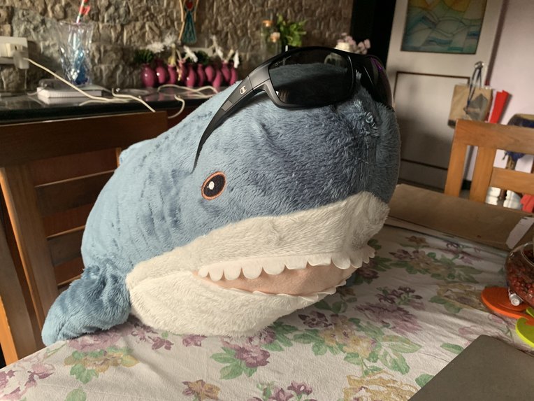 BROHAJ – screenshot 5