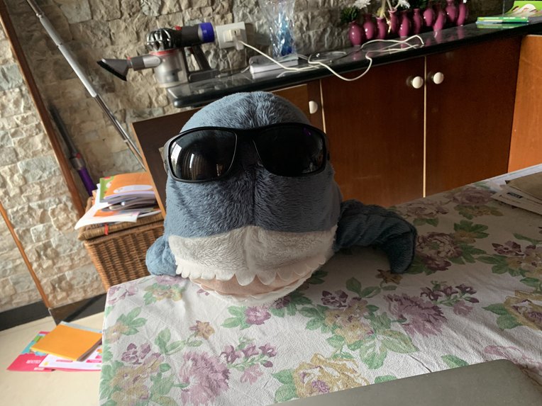 BROHAJ – screenshot 6