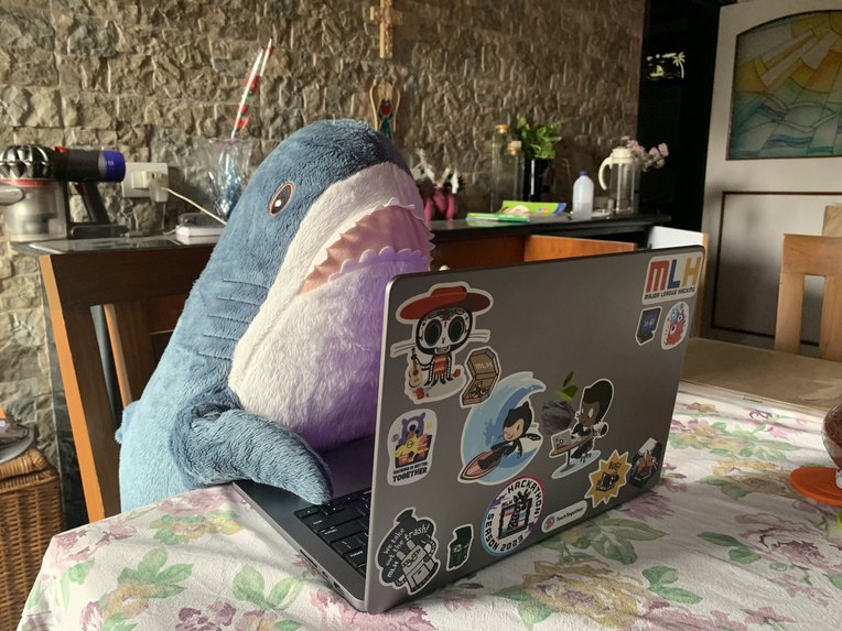 BROHAJ – screenshot 8