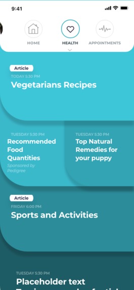 Pawsitive – screenshot 6