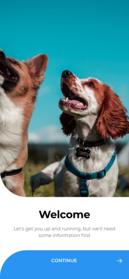 Pawsitive – screenshot 13