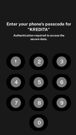 KREDITA – screenshot 29