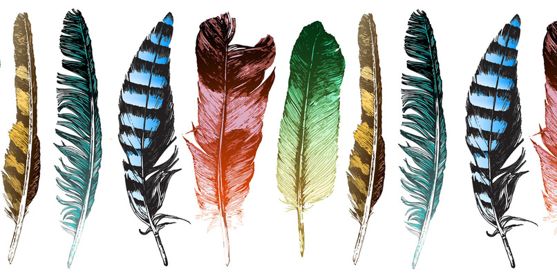 Birds of a Feather – screenshot 1