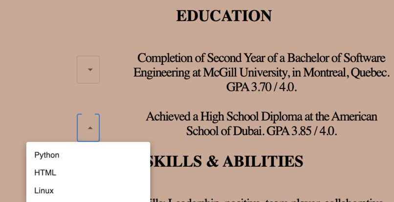 Season my CV – screenshot 2