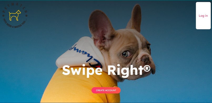 PetMatch – screenshot 2