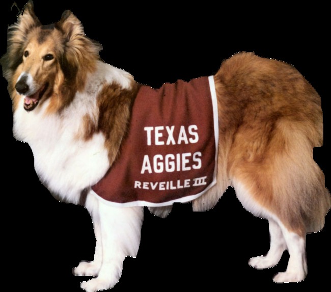 Reveille Game – screenshot 4