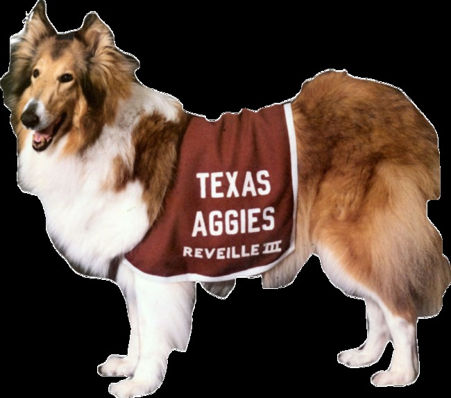 Reveille Game – screenshot 5