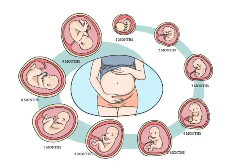 MC Render – screenshot 5