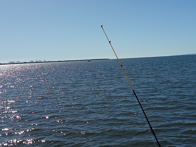 Budget busters and community garden  – screenshot 2