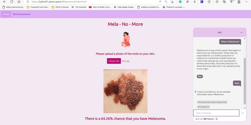 Mela-No-More: AI-Based Melanoma Detector and Risk Assessor – screenshot 3