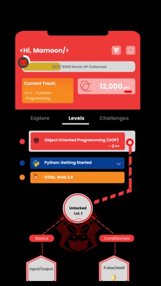 .Ronin – screenshot 4