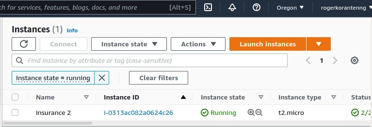 Predicting How Much Insurance a person will pay – screenshot 2