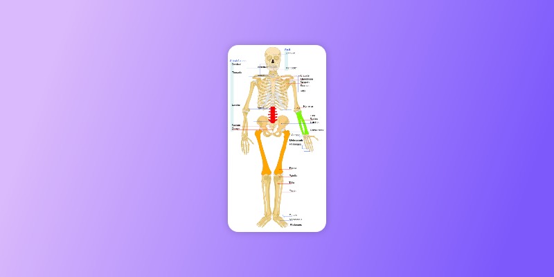 Bone Health Tracker – screenshot 2