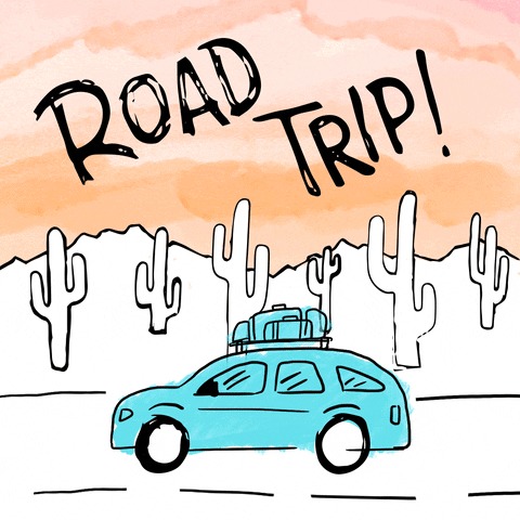 SusTrip – screenshot 6