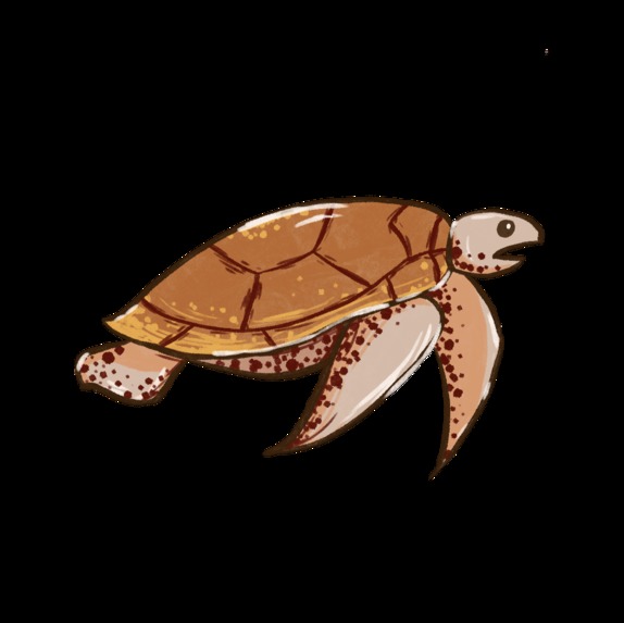 Save the Turtles – screenshot 4